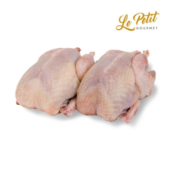 Quail