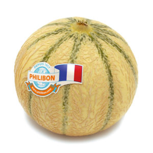 Melon Philibon