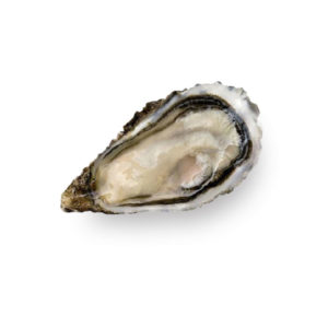 Special Oyster "La Lune" N2