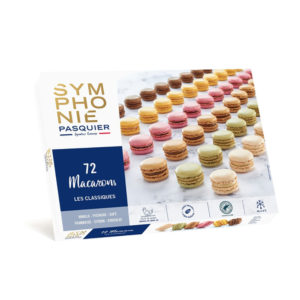 Frozen Mini Macaron 72pcs