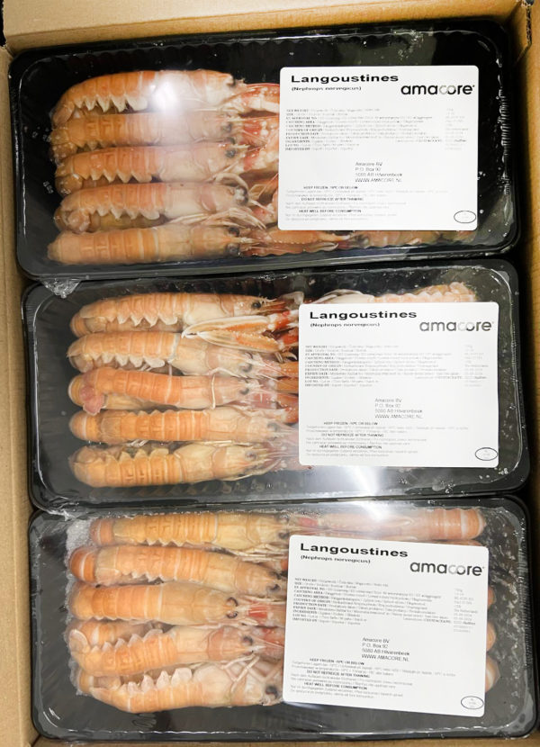 Frozen Langoustine_1