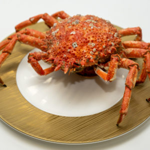 Frozen Cooked Spider Crabs