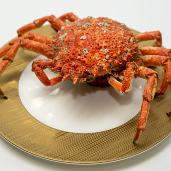 Frozen Cooked Spider Crabs
